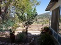 Teilweise renoviertes Landhaus mit 4 Schlafzimmern und 1 Bad in Spanish Fincas