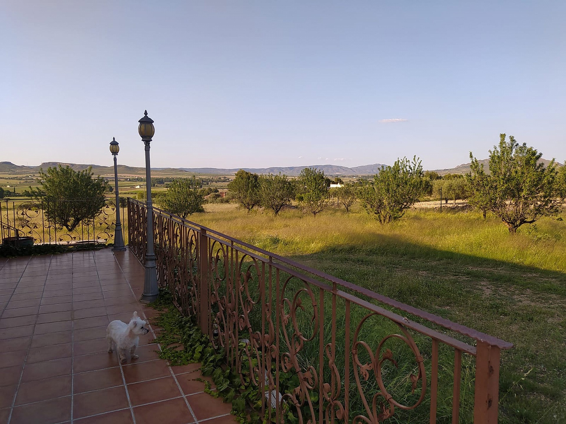 2 bedroom house / villa for sale in Yecla, Costa Calida