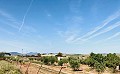 Country house at walking distance from Pinoso in Spanish Fincas